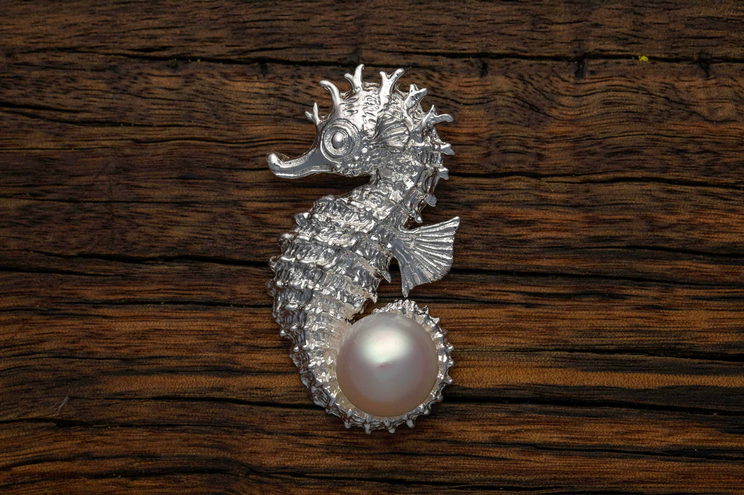 the seahorse Infinite Life